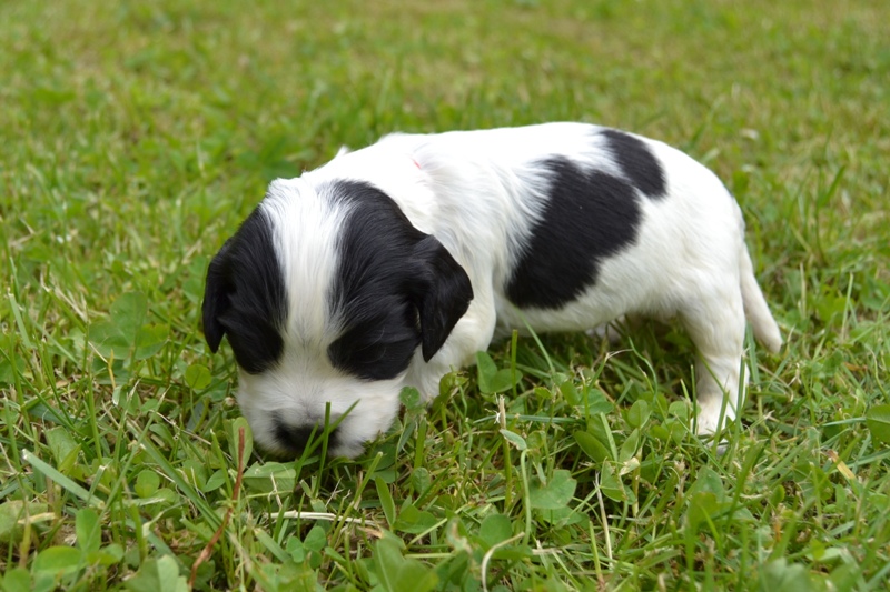 7e - fenka červená.JPG